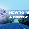 How to read a forest plot?