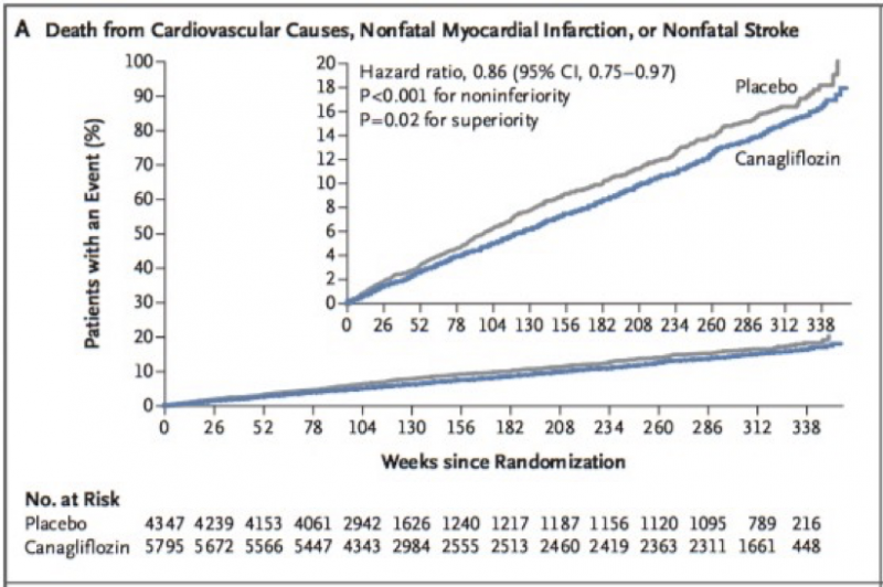 Cardiovascular outcome in the integrated CANVAS Program. Taken from Neal et al [3] which shows the cumulative incidence of the primary composite outcome on CV mortality. The inset shows the same data on an enlarged y axis. Note that the separation of curves in the canagliflozin arm (blue curve) is less pronounced than that of EMPA-REG OUTCOME.