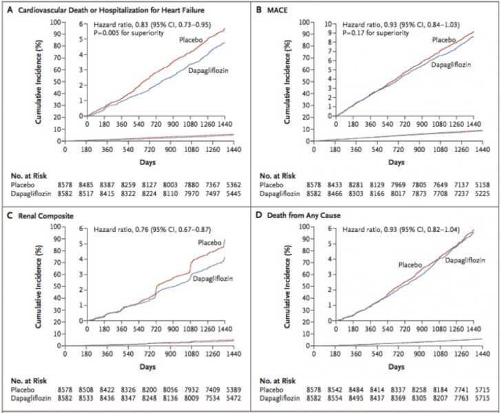 Cardiovascular outcomes, mortality rates and renal endpoint from the DECLARE-TIMI 58 trial.